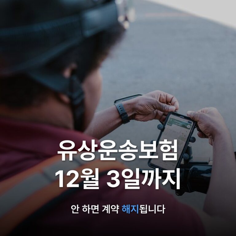 썸네일: 유상운송보험 12월 3일까지