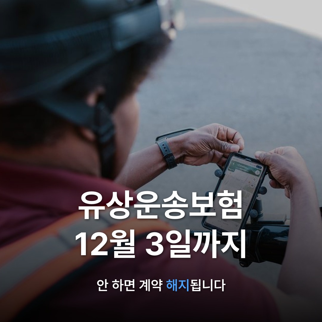 썸네일: 유상운송보험 12월 3일까지