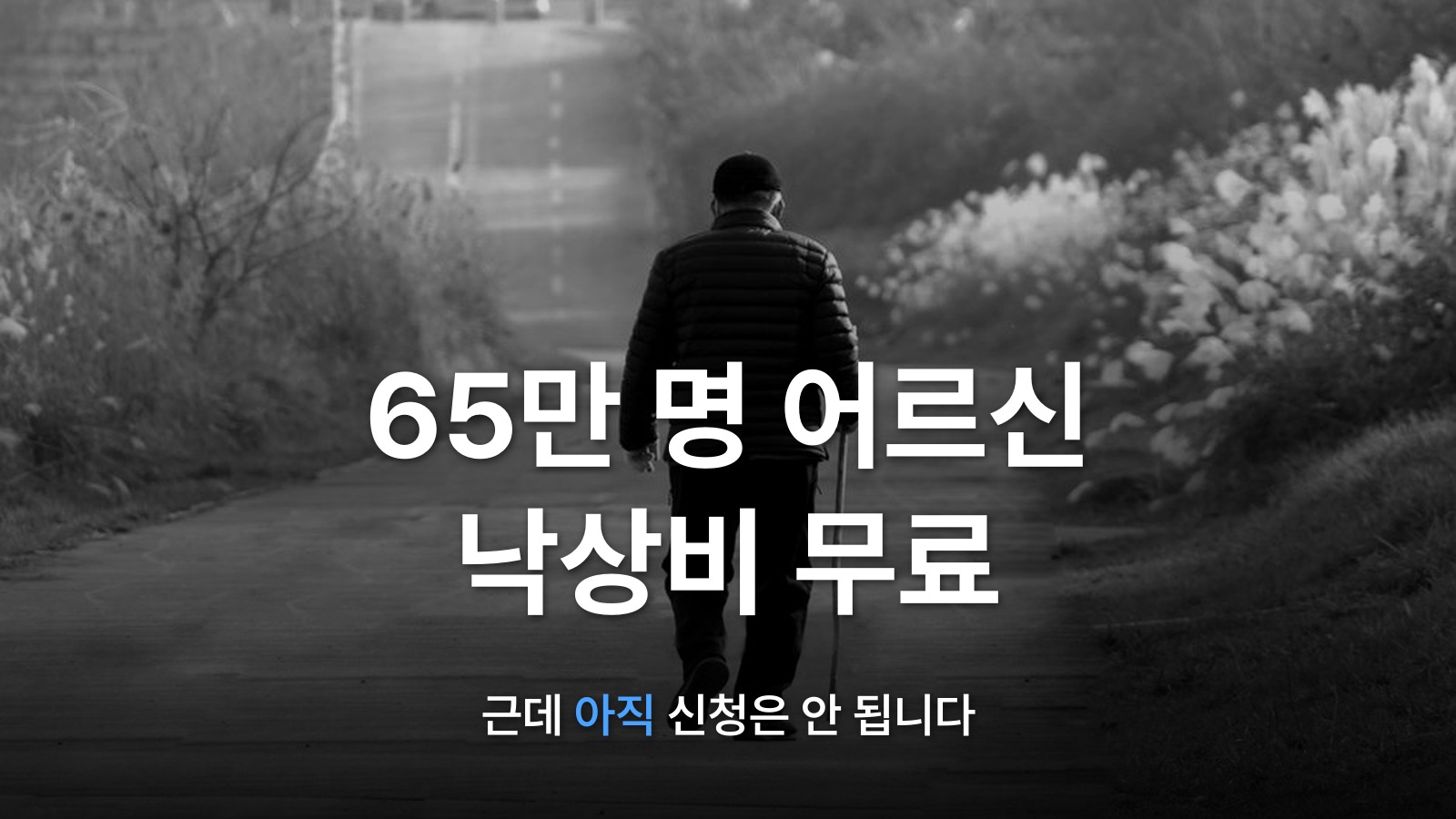 썸네일: 65만 명 어르신 낙상비 무료
